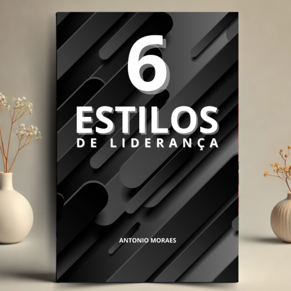 6 Estilos de Líderes